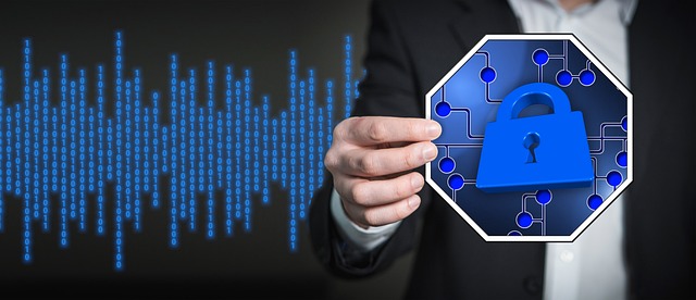 Duiken in de wereld van software ontwikkeling